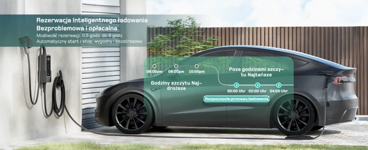 Ladowarka mobilna DE 22kW-10.jpg
